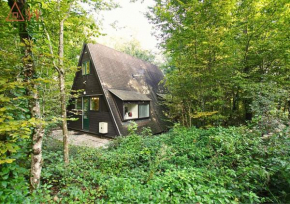 Bosmuis Ardennen, Durbuy, Genieten in de bossen